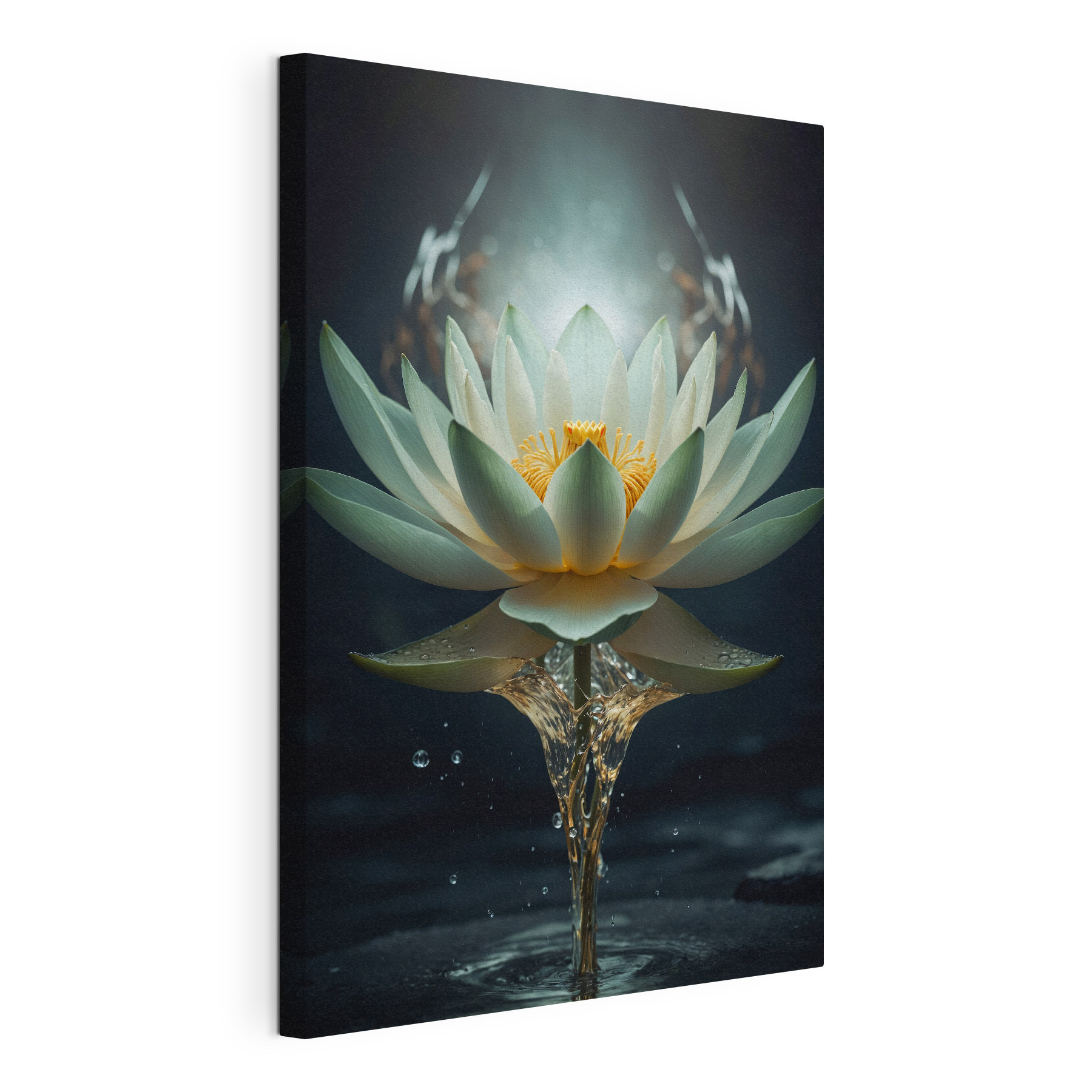 A white flower with yellow center and water splashing out A white flower with yellow center and water splashing out