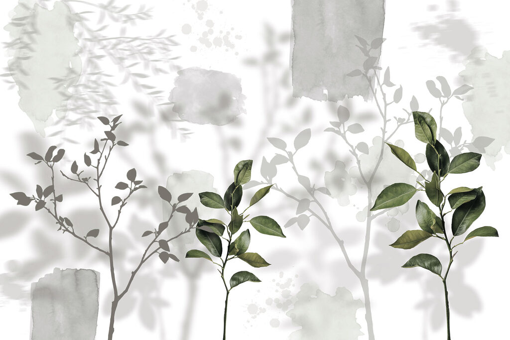 Group of leaves and branches Group of leaves and branches