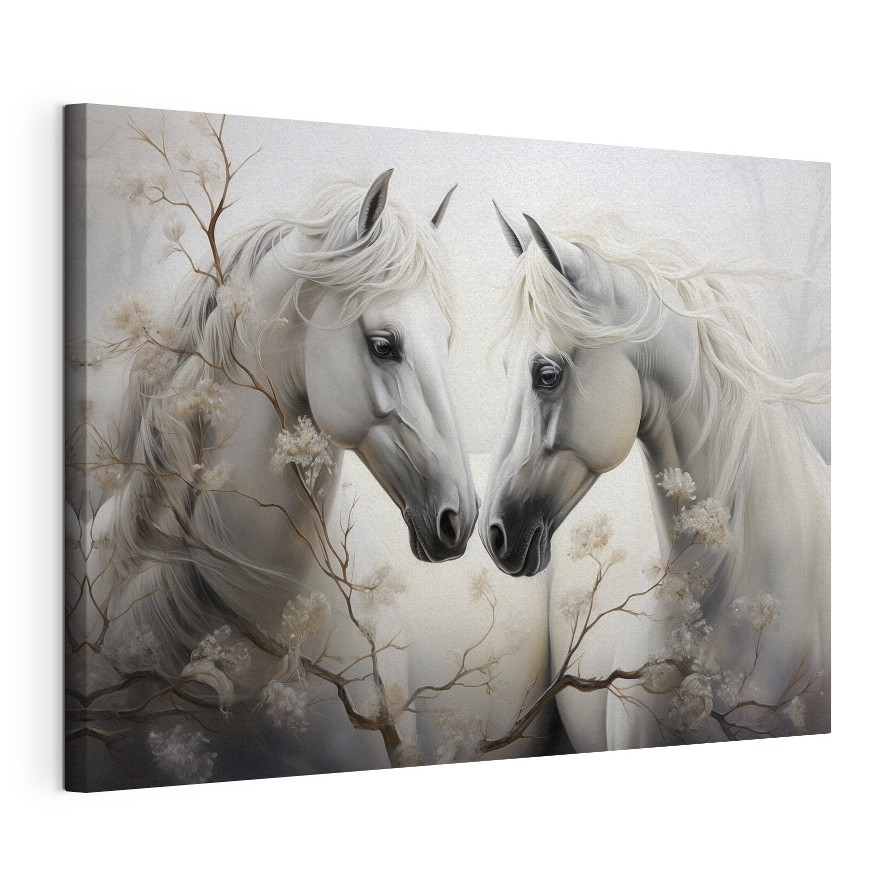Two white horses with long manes Two white horses with long manes