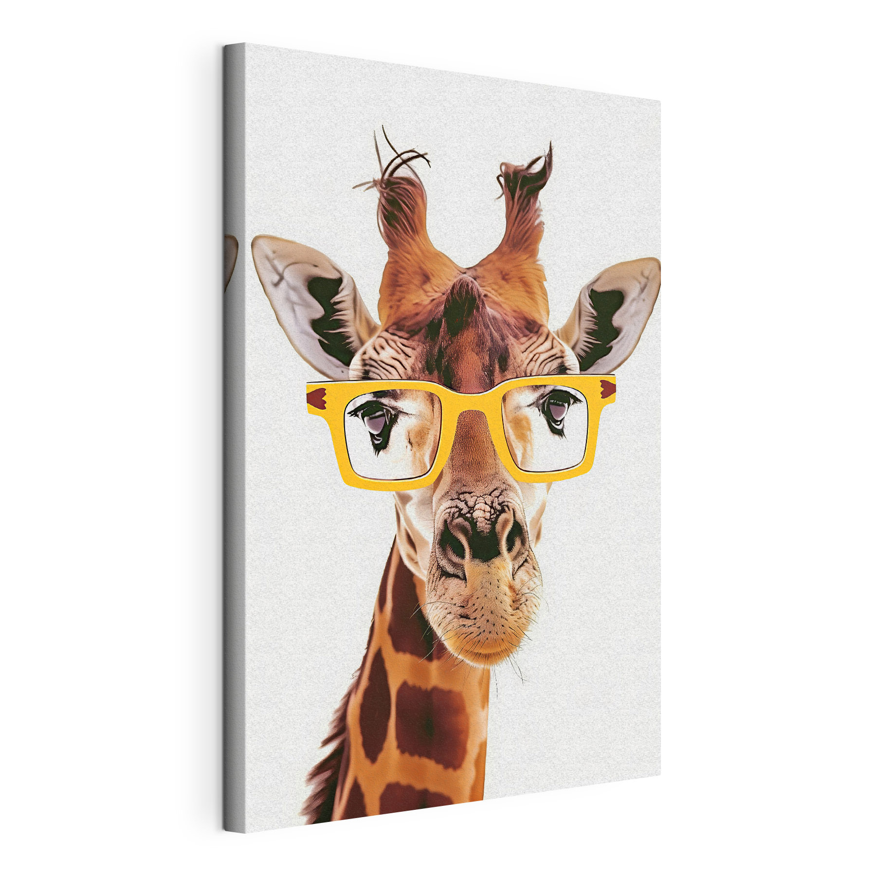 A giraffe wearing yellow glasses A giraffe wearing yellow glasses