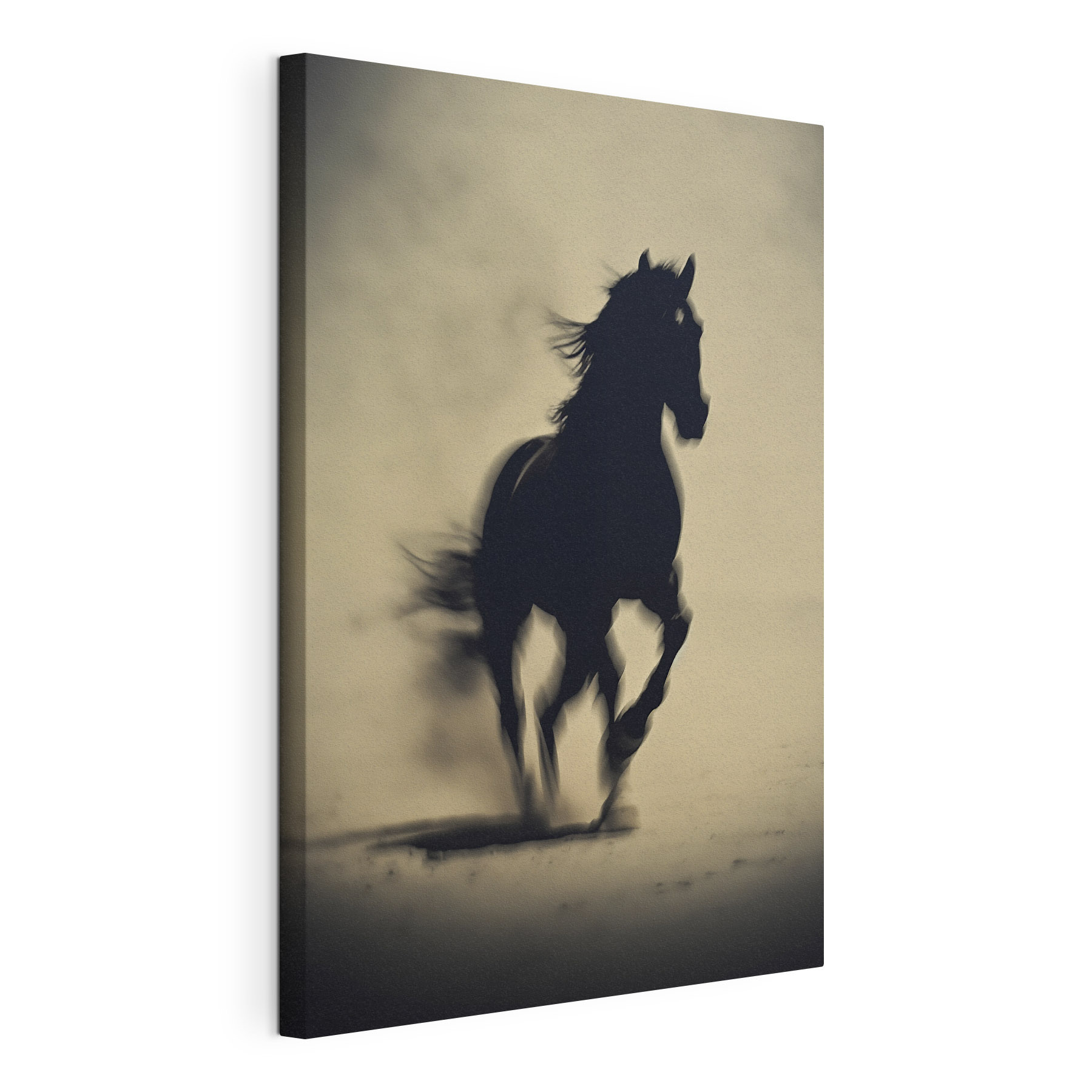 Horse running in the snow Horse running in the snow