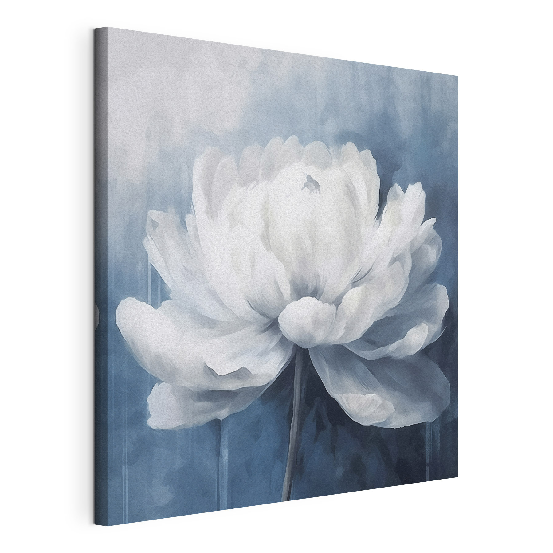 White flower on a blue background White flower on a blue background