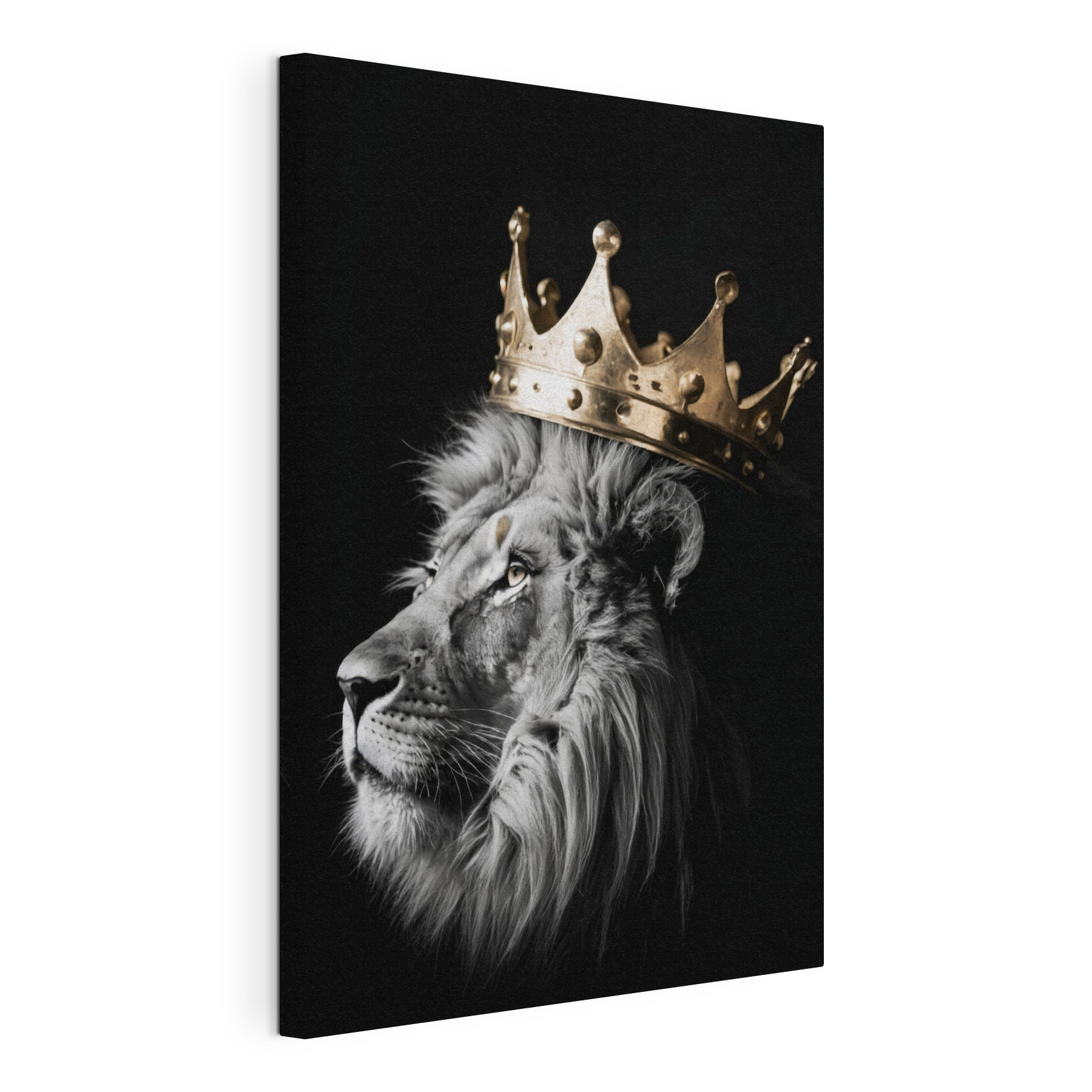 Lion wearing a crown Lion wearing a crown