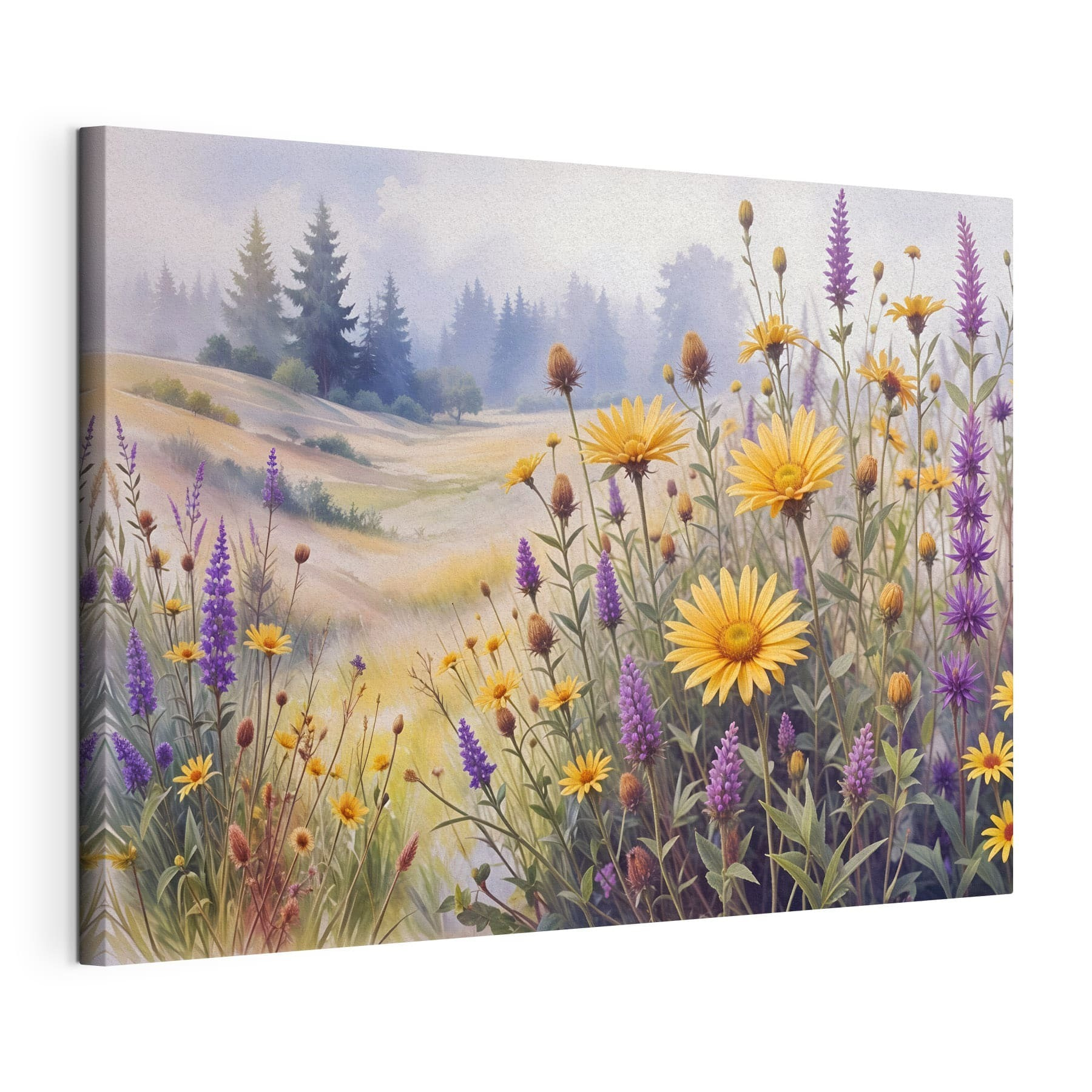 Field of flowers and grass Field of flowers and grass