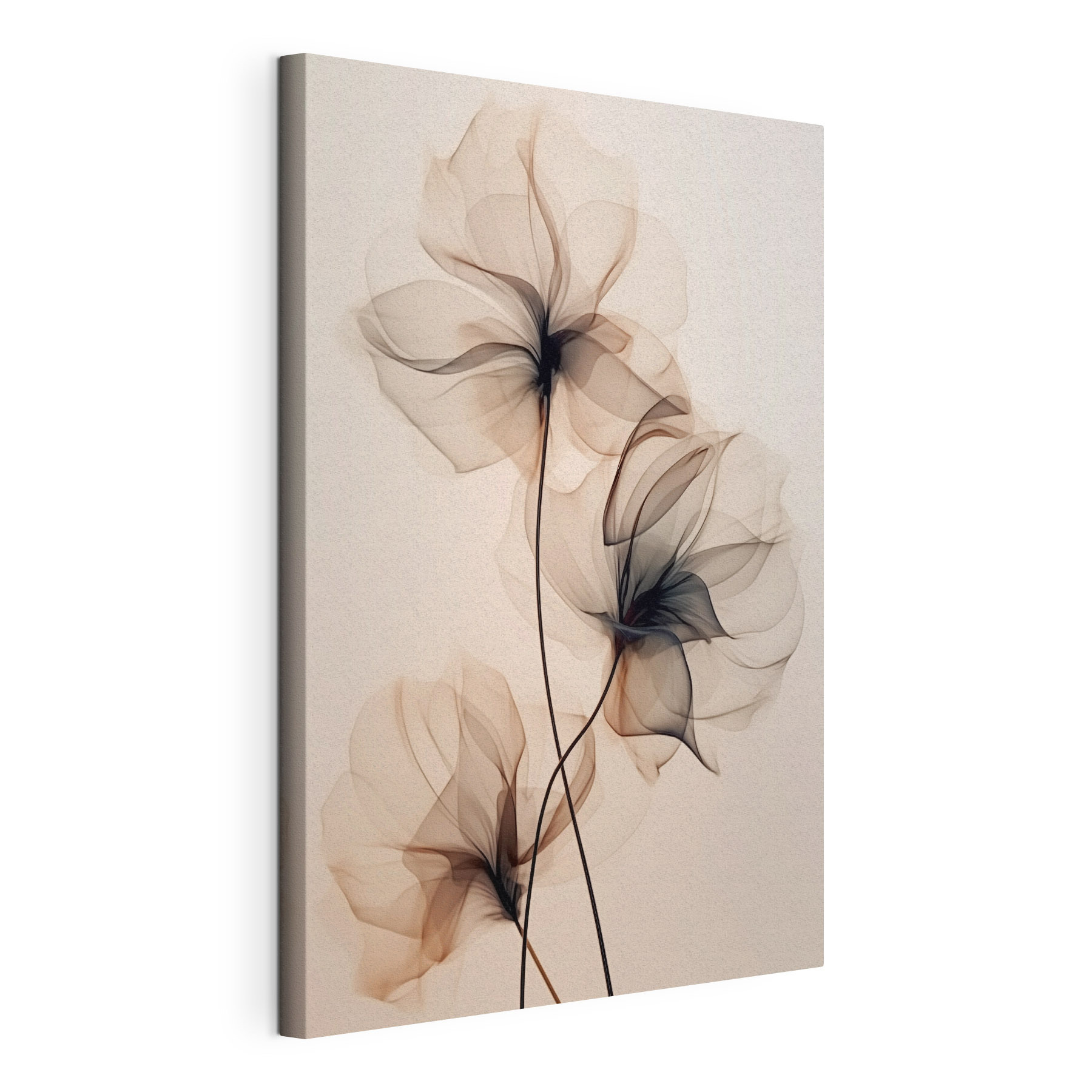 Delicate flow of translucent flowers