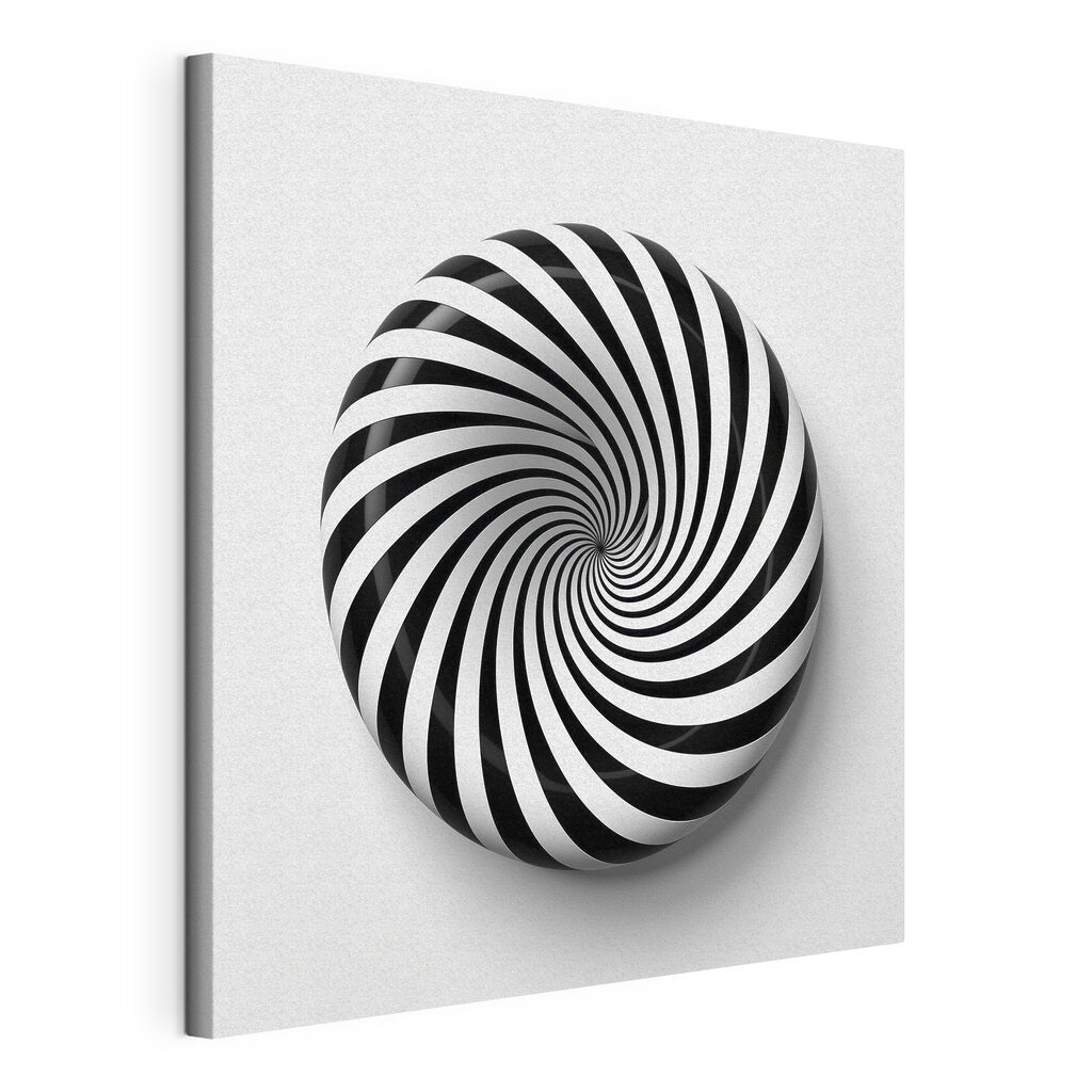 Black and white swirly object Black and white swirly object