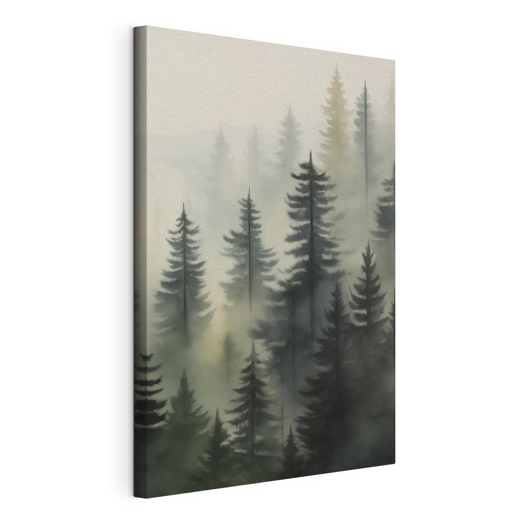 Foggy forest with trees Foggy forest with trees