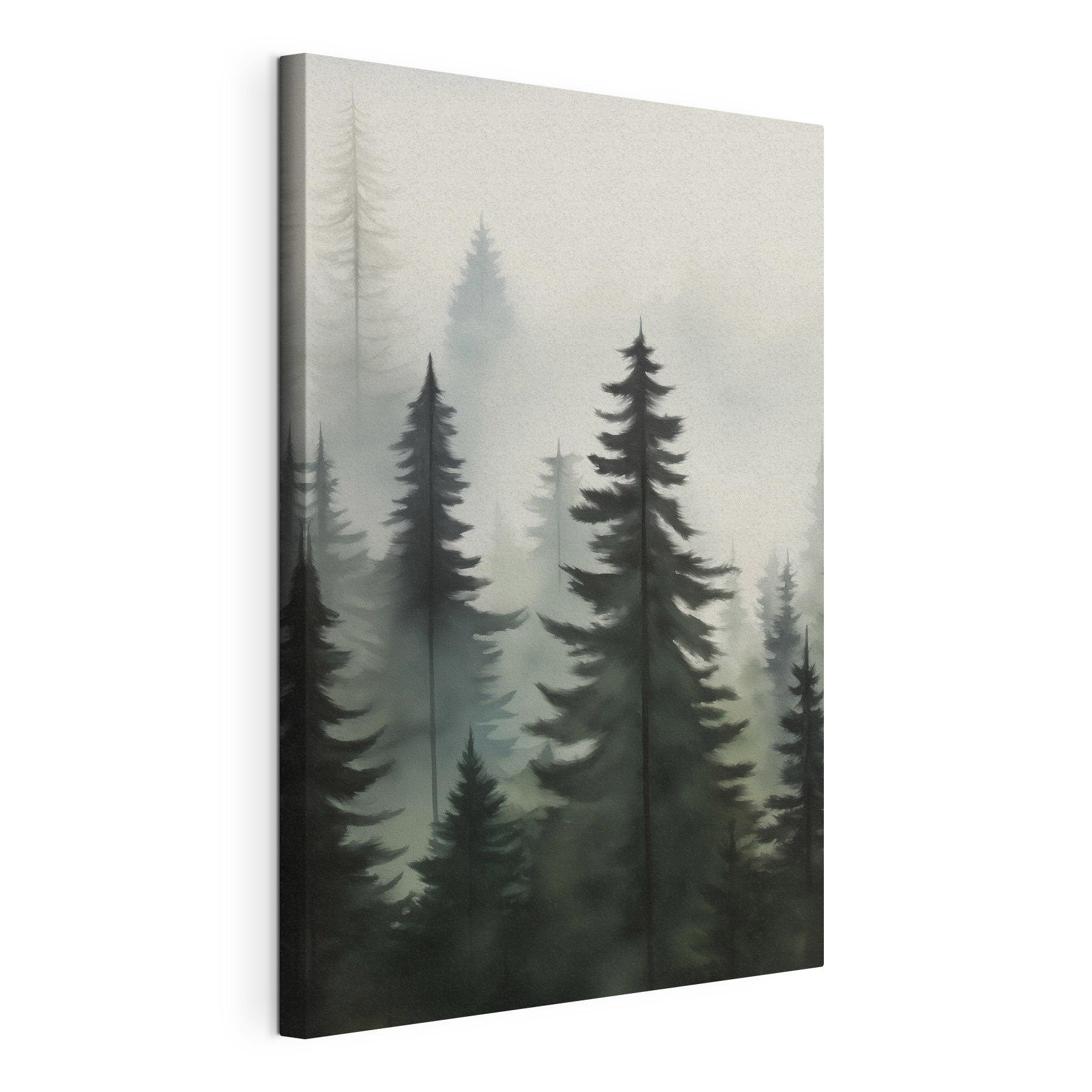 Group of trees in a forest Group of trees in a forest