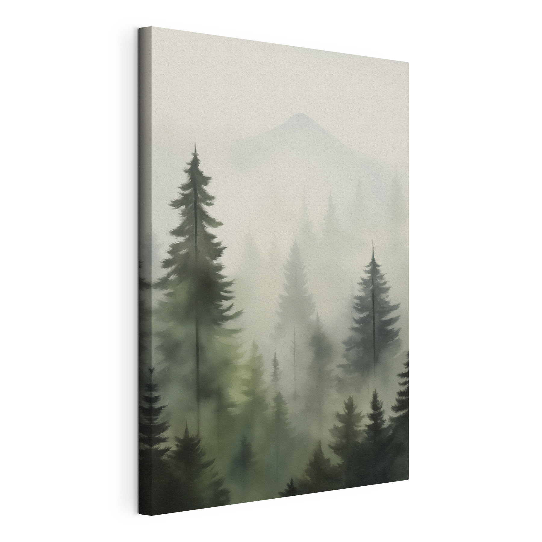 Foggy forest with trees and a mountain in the background Foggy forest with trees and a mountain in the background
