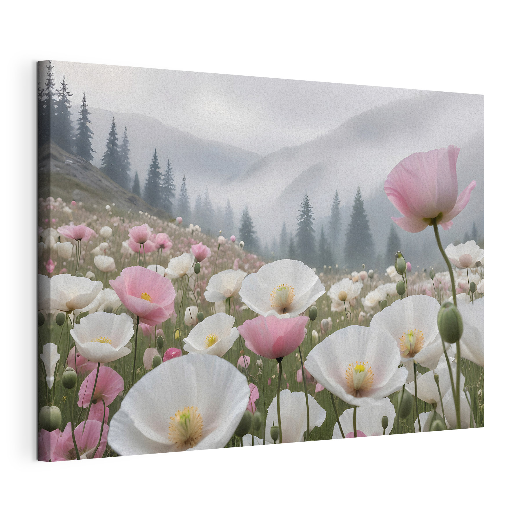 A field of pink and white flowers
