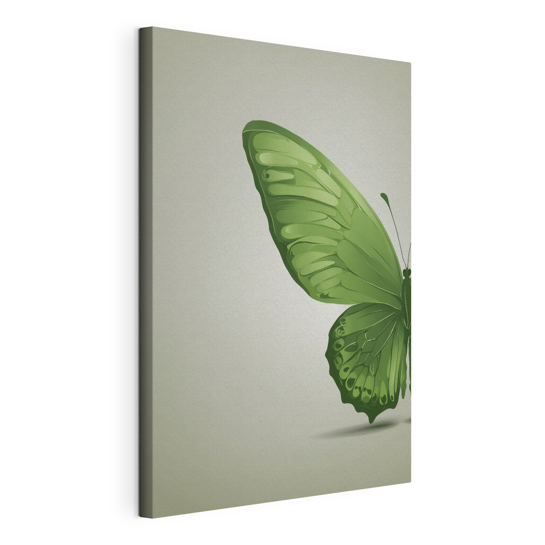 Green butterfly with wings