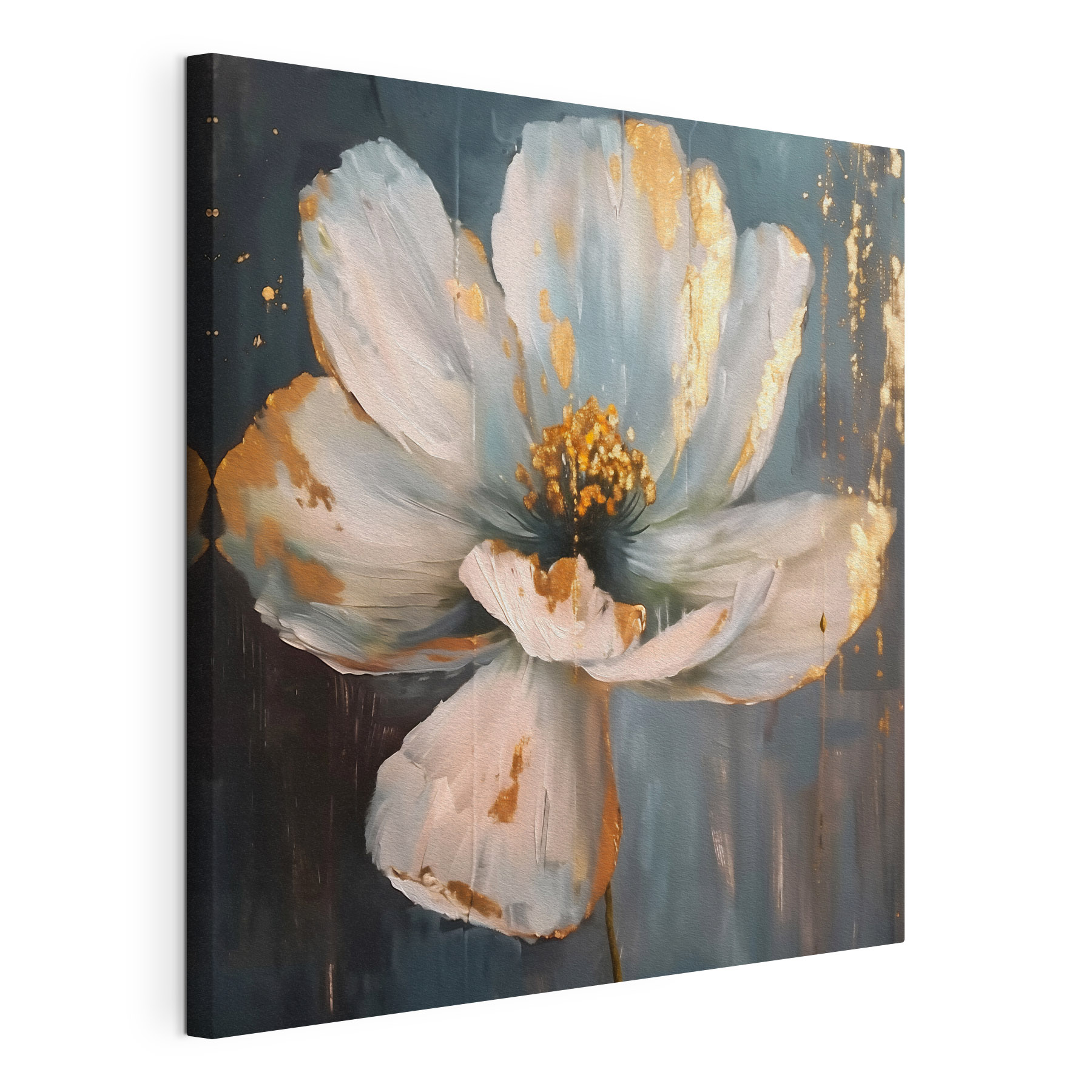 Splashes of light on delicate petals