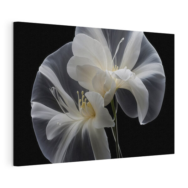 Elegant white flowers against black background