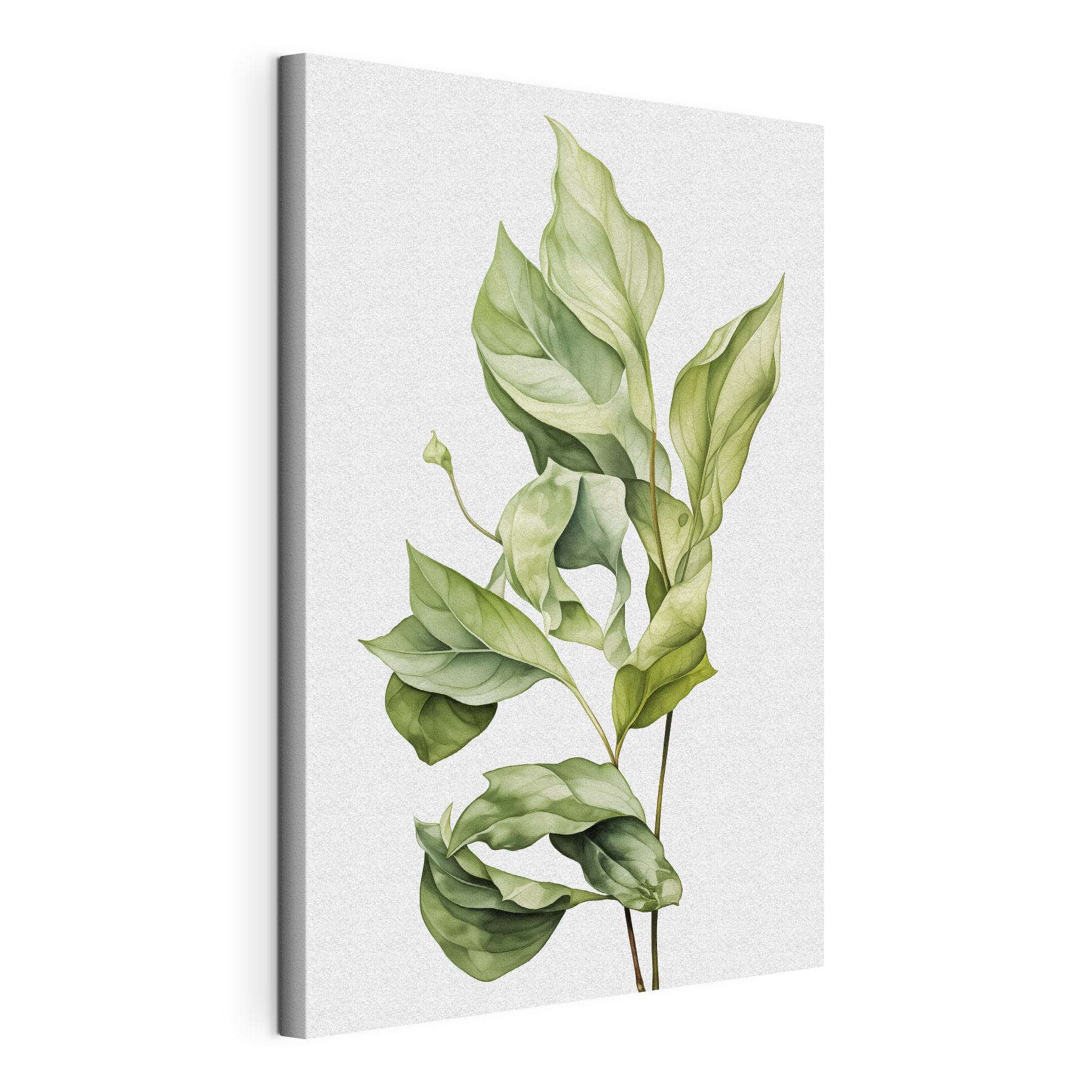 Lush green leaves in soft hues