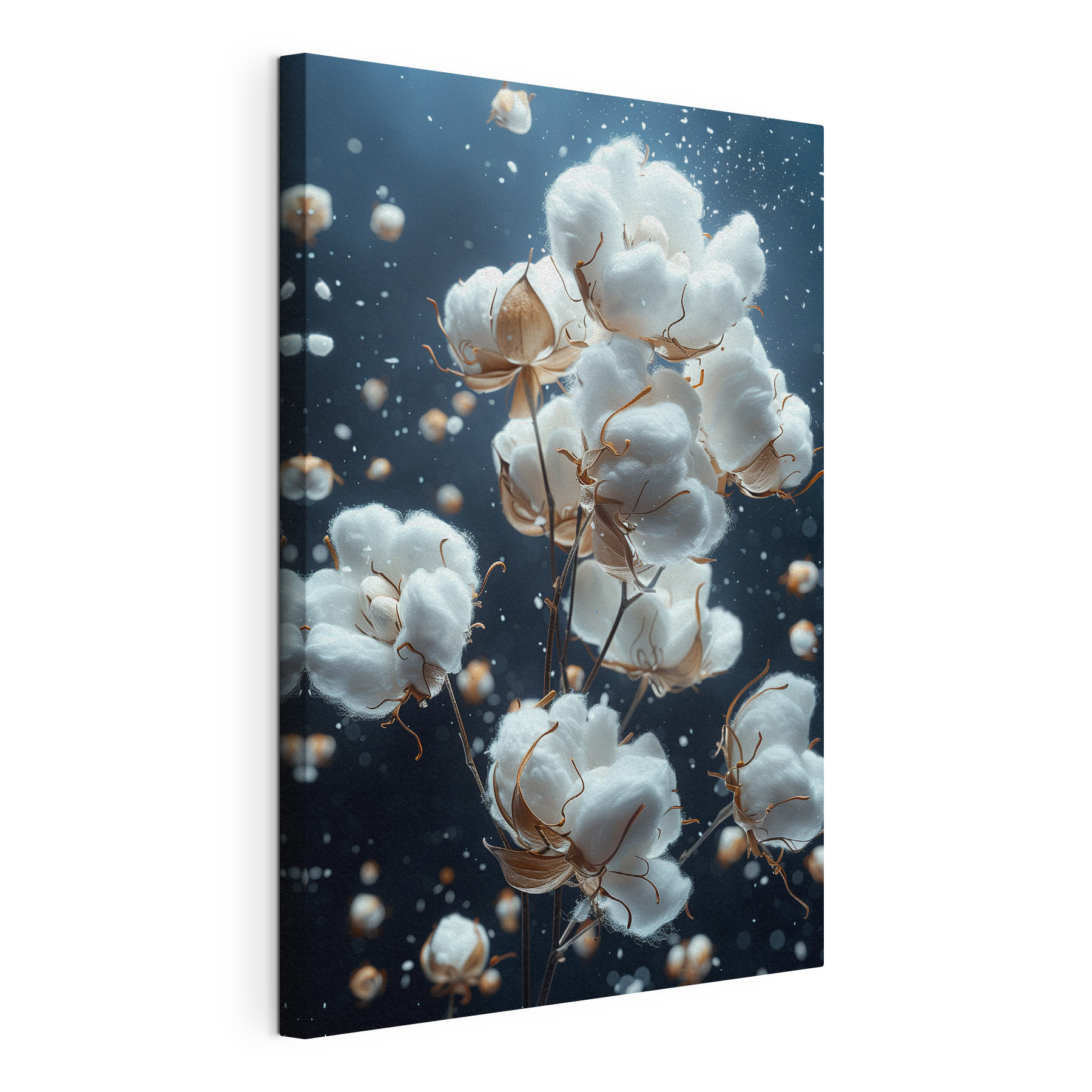Cotton blossoms in soft motion