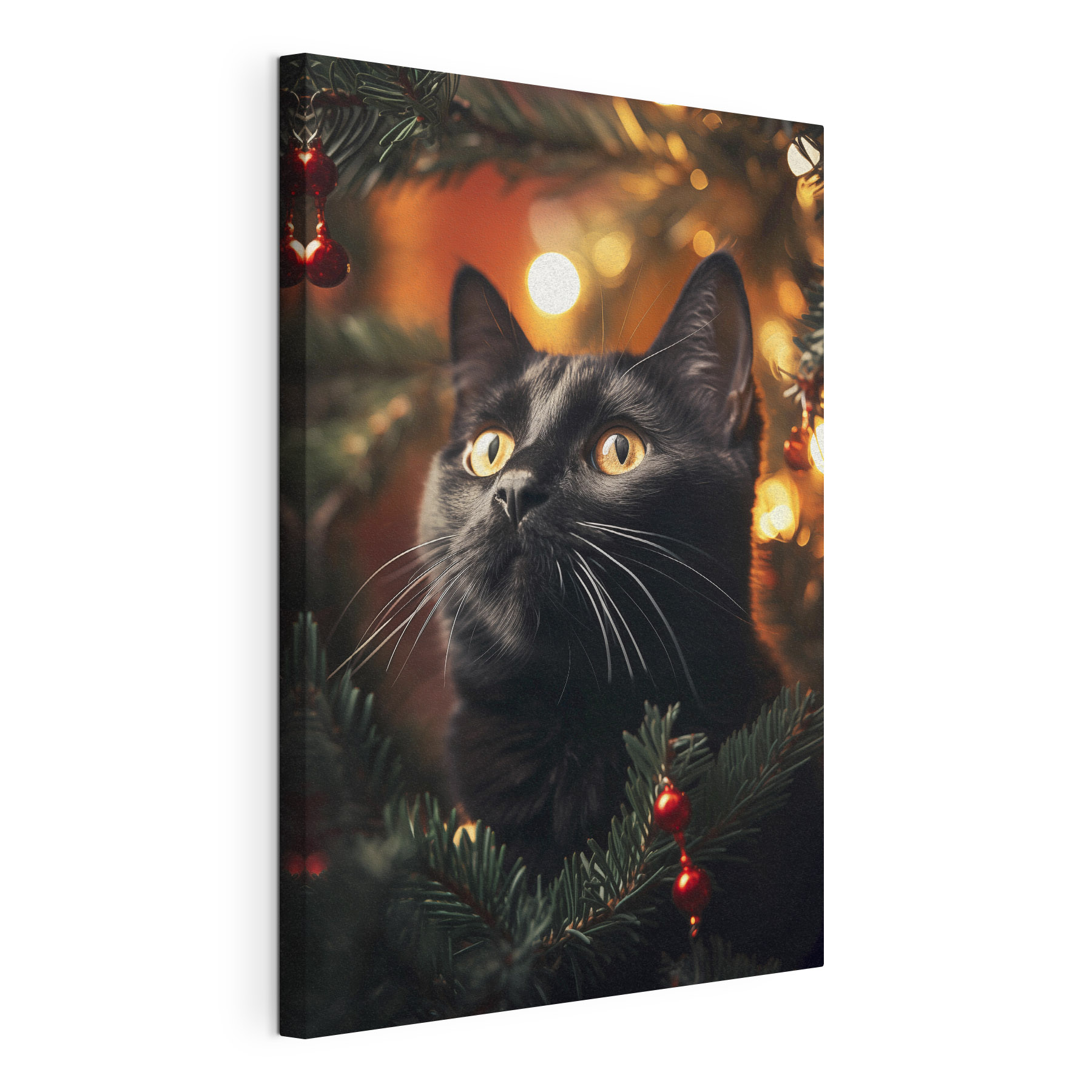 Black cat with yellow eyes