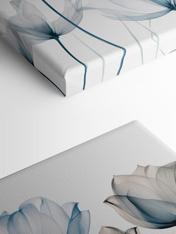 Group of flowers with transparent petals