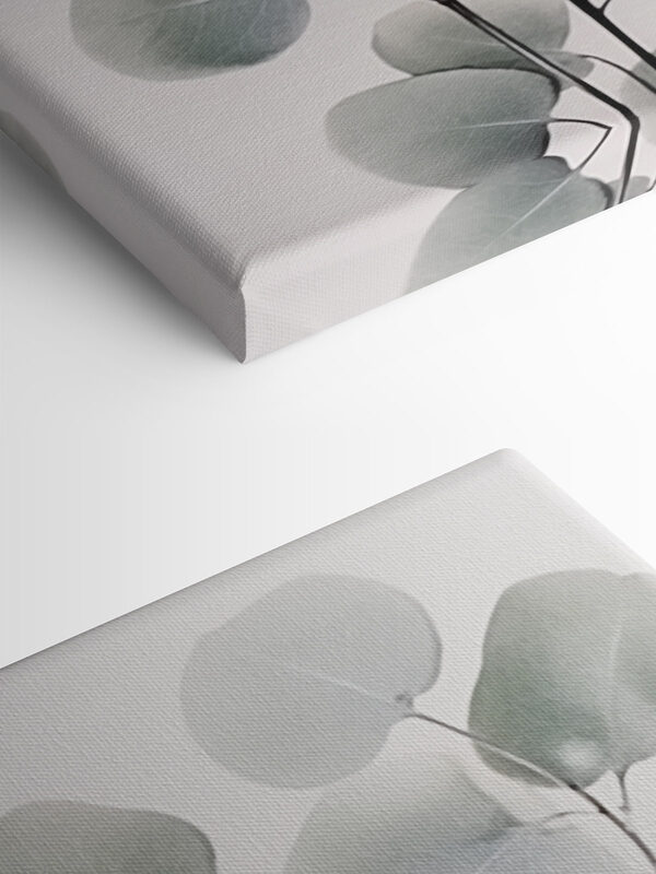 Delicate leaves on a minimal backdrop