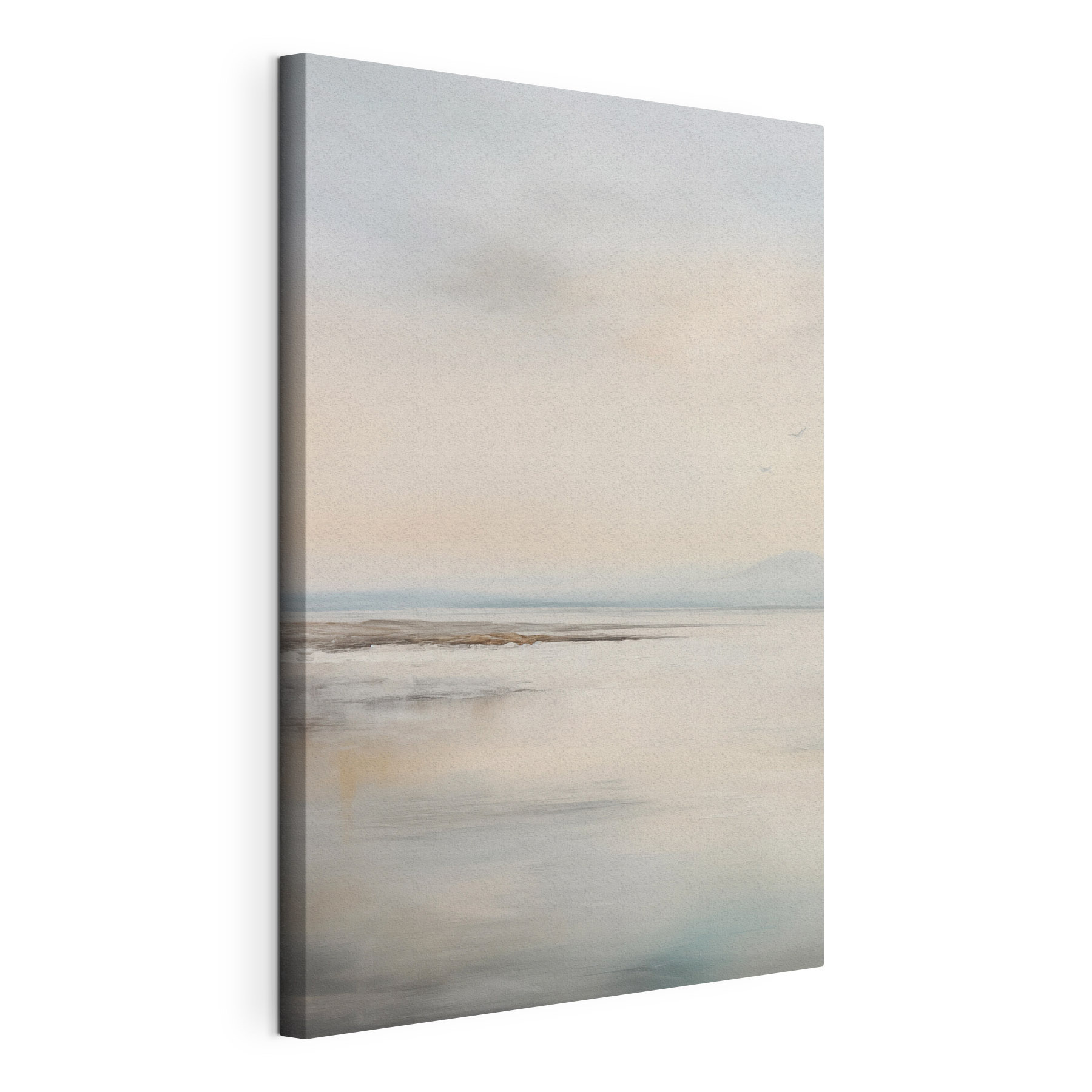Landscape with a lake and birds flying