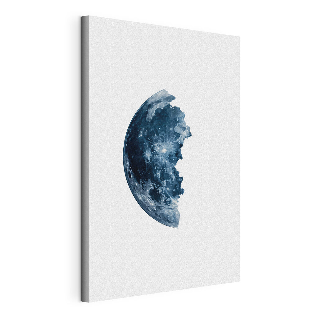 Half of the moon