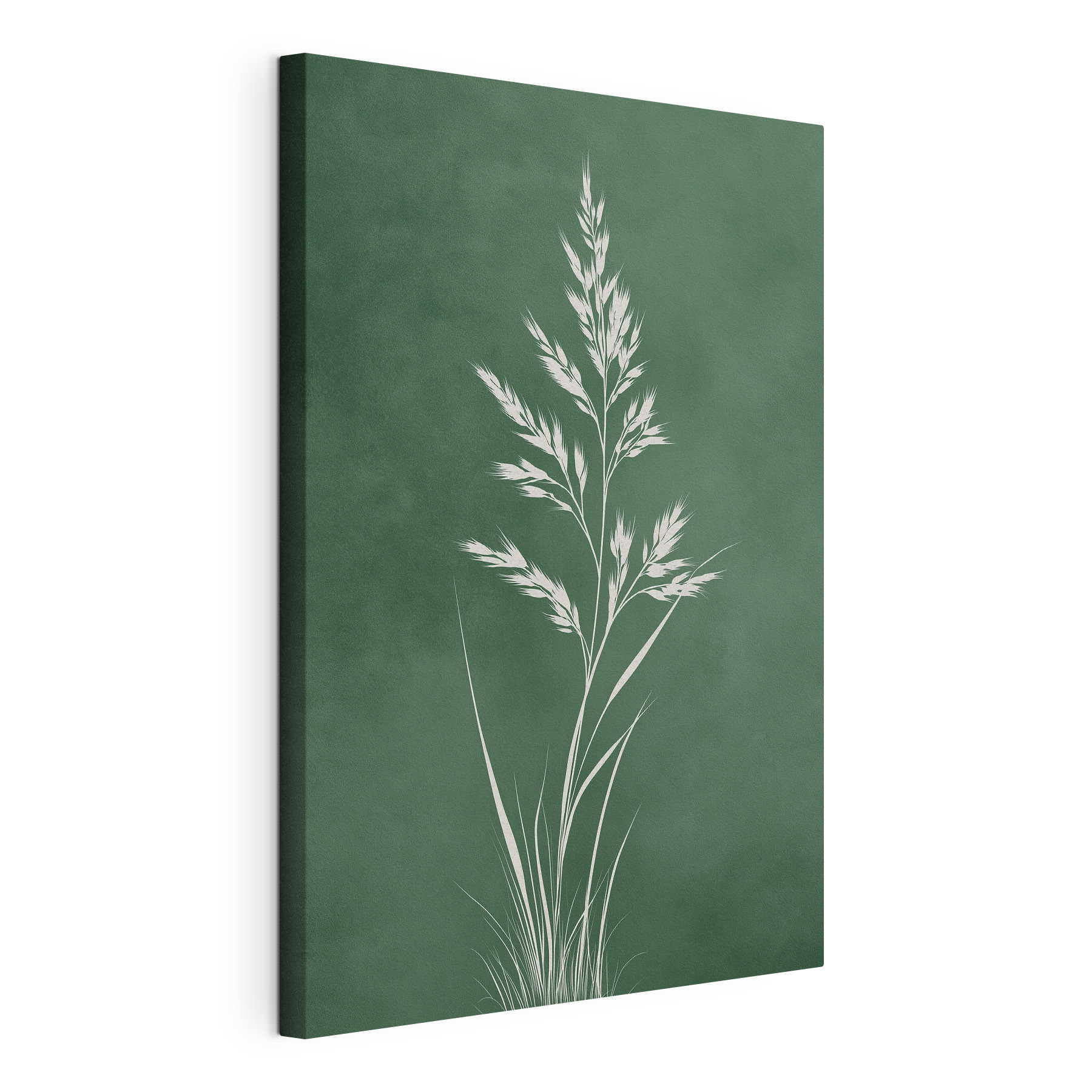White plant with long stems