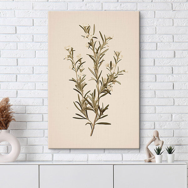 Plant with white flowers