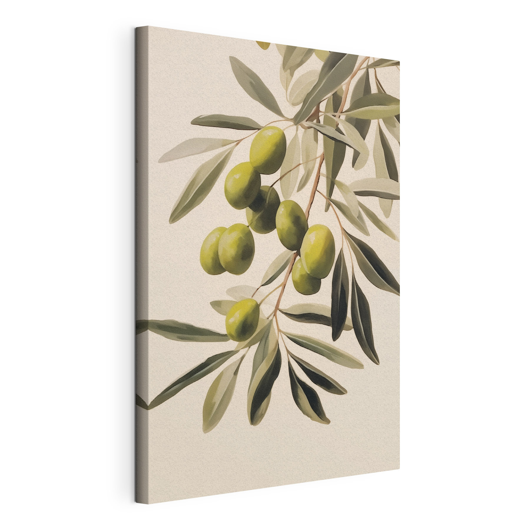 Painting of green olives on a branch