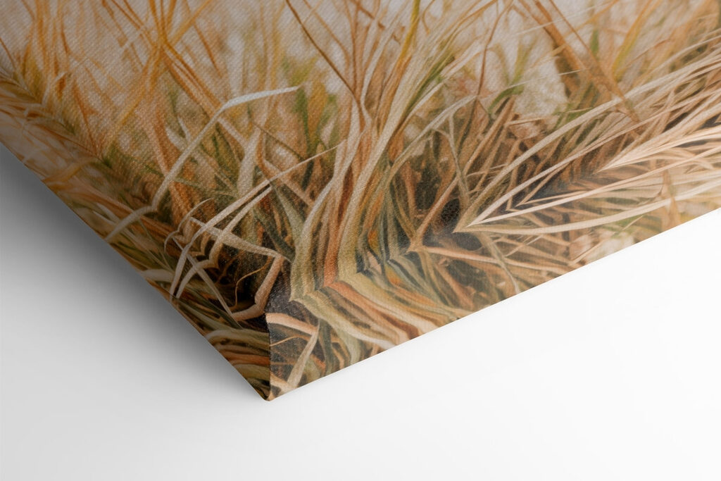 Soft grasses sway by gentle waves