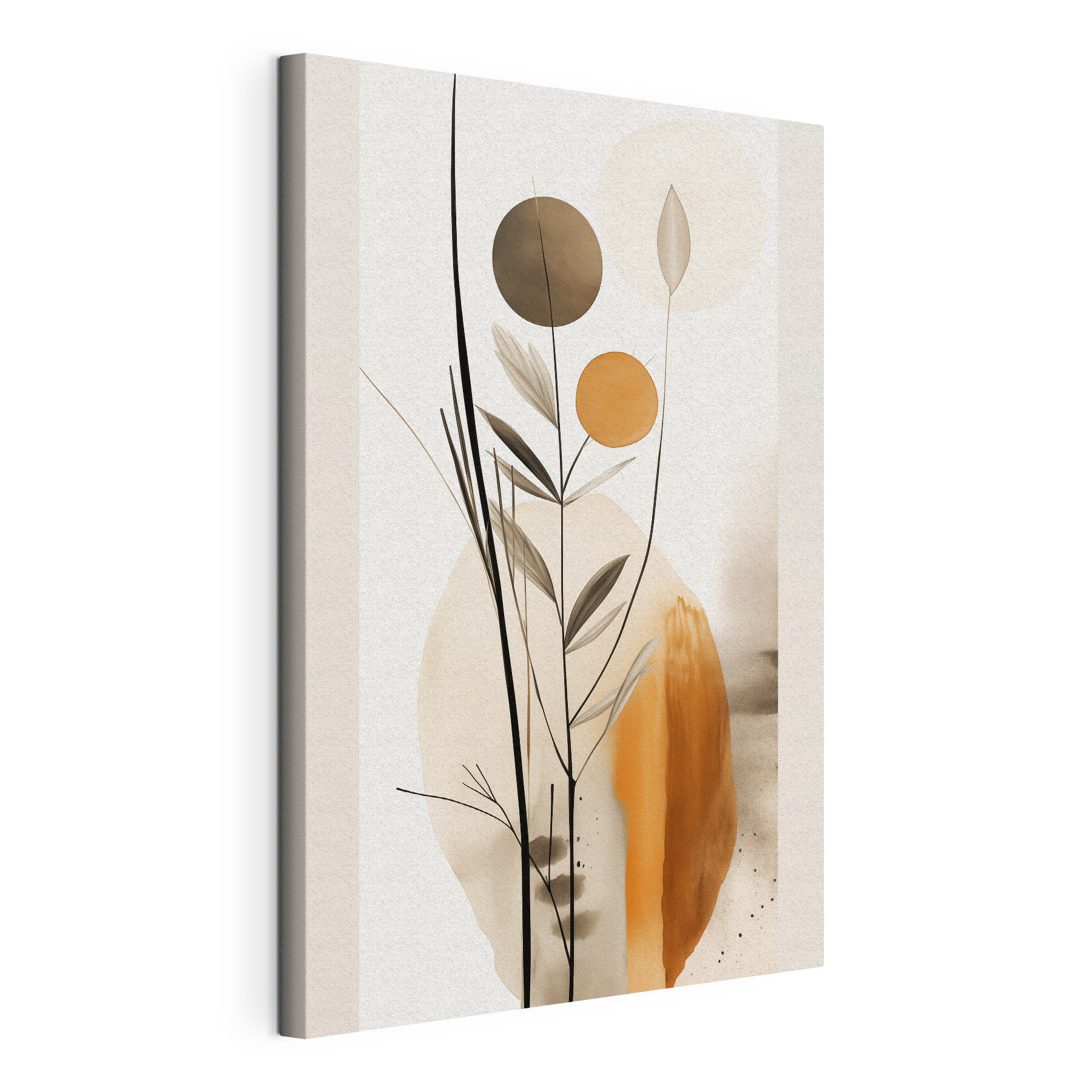 Plant with circles and leaves