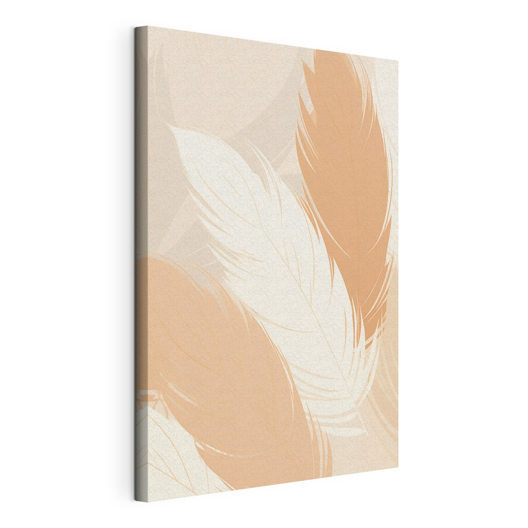 Group of feathers on a surface Group of feathers on a surface