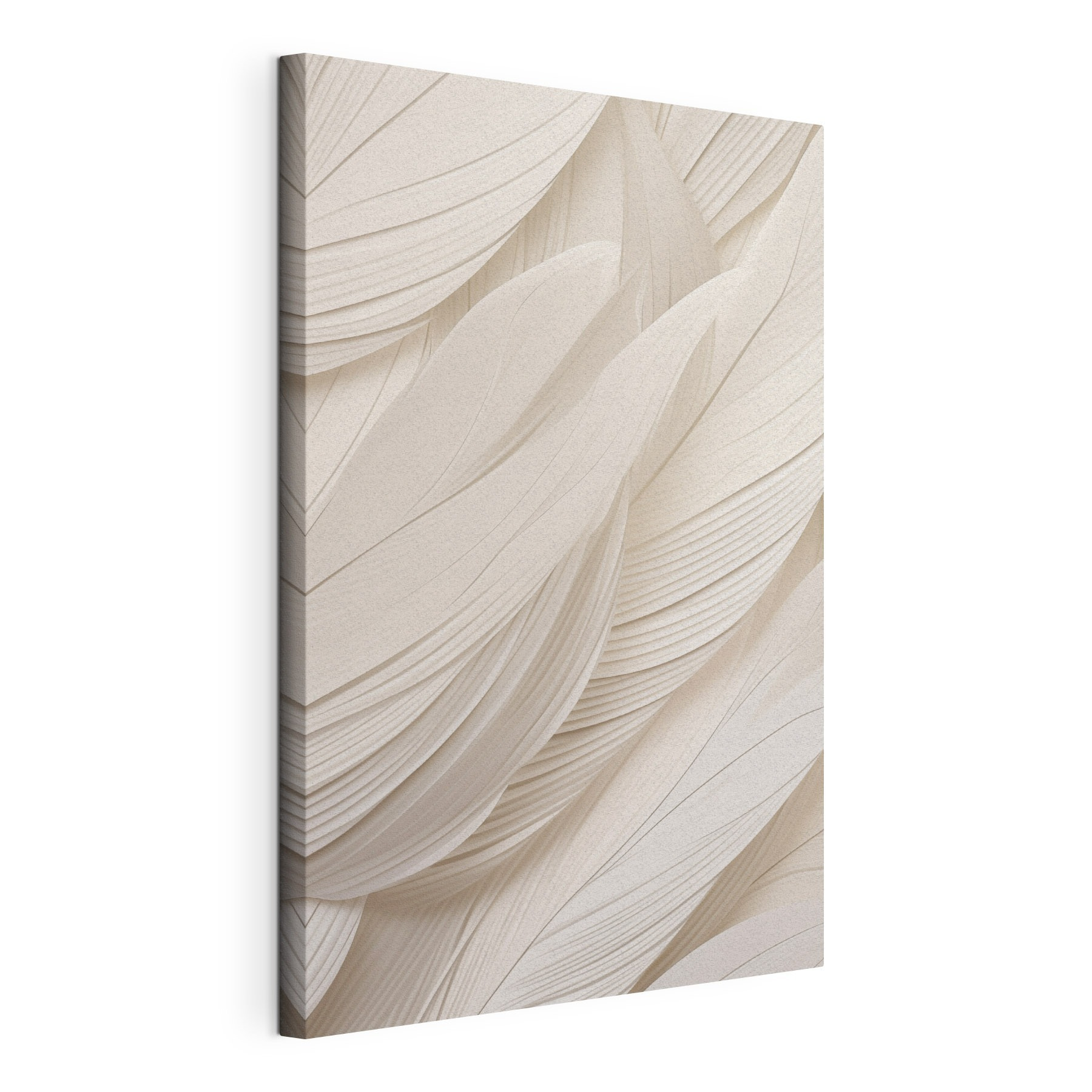 Soft curves, gentle texture, calm vibes Soft curves, gentle texture, calm vibes