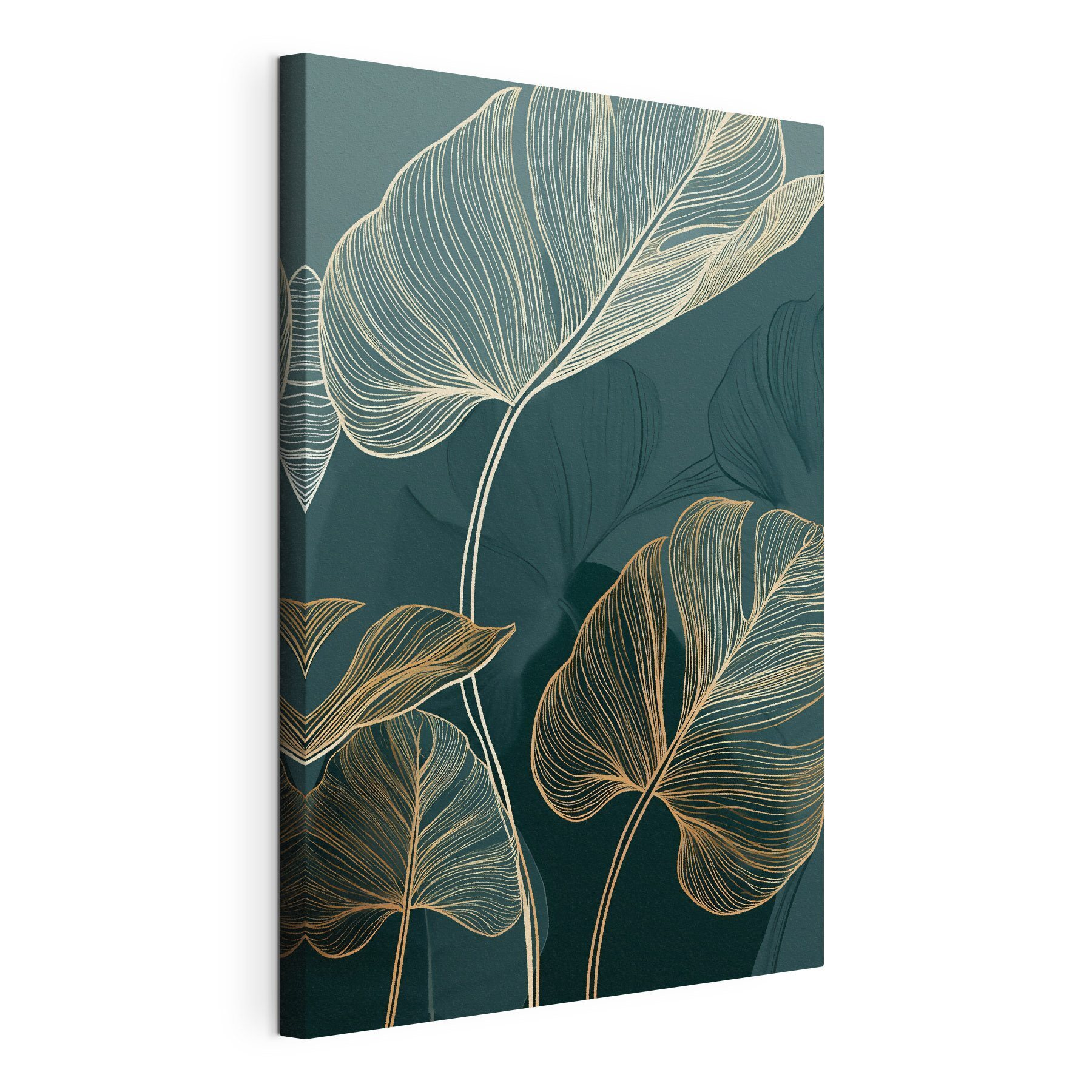 Elegant leaves on dark background Elegant leaves on dark background
