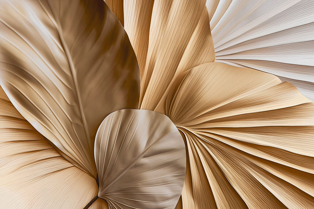 - Elegant layers of natural forms - Elegant layers of natural forms