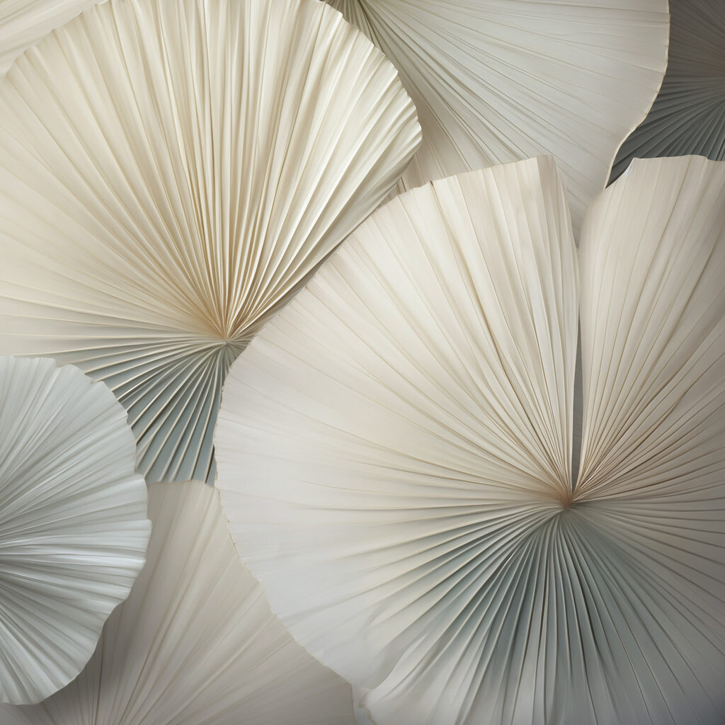 Group of white fan shaped leaves Group of white fan shaped leaves
