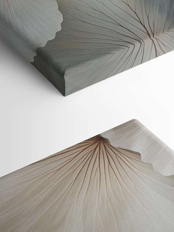 Gentle curves in soft hues