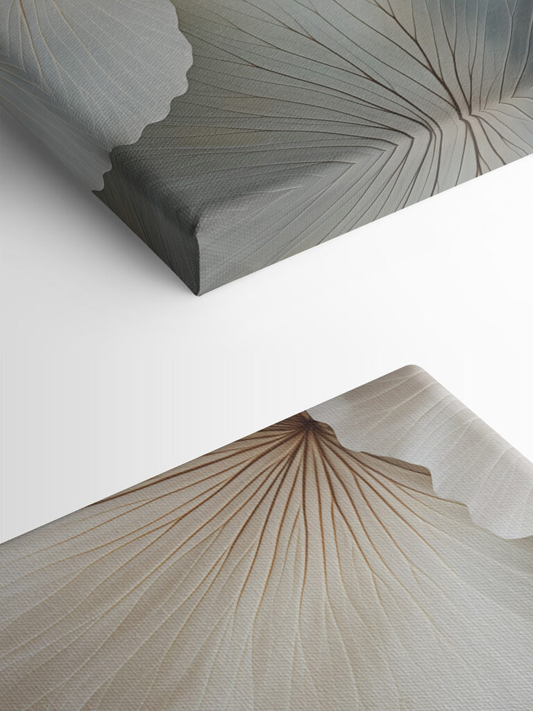 Gentle curves in soft hues