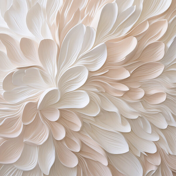 White and pink flower petals White and pink flower petals