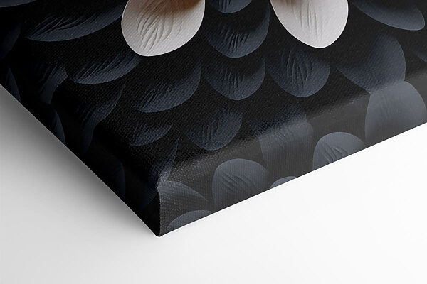 Elegant design in contrasting colors Elegant design in contrasting colors