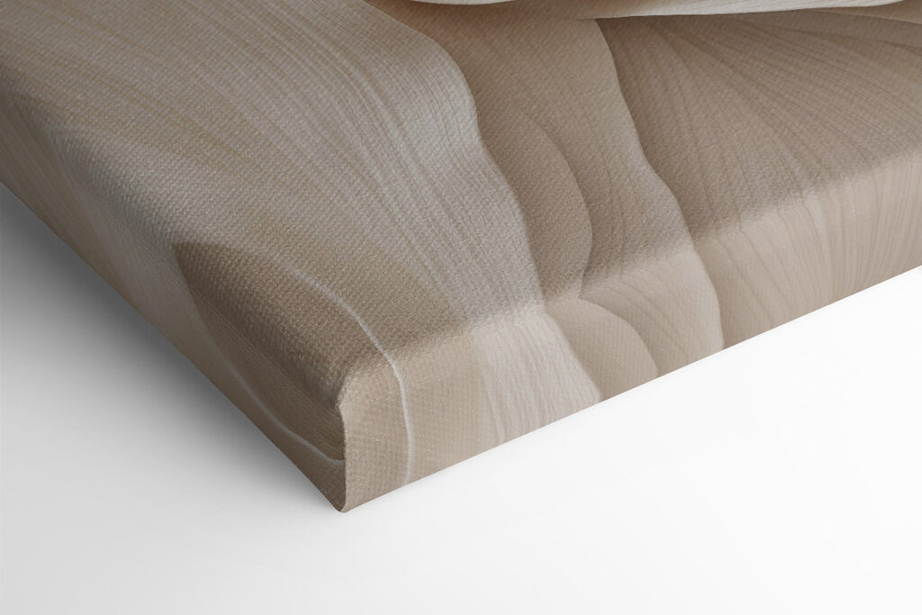 Soft curves of natural elegance Soft curves of natural elegance