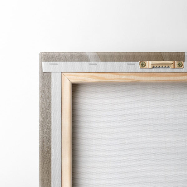 White wall with curved lines