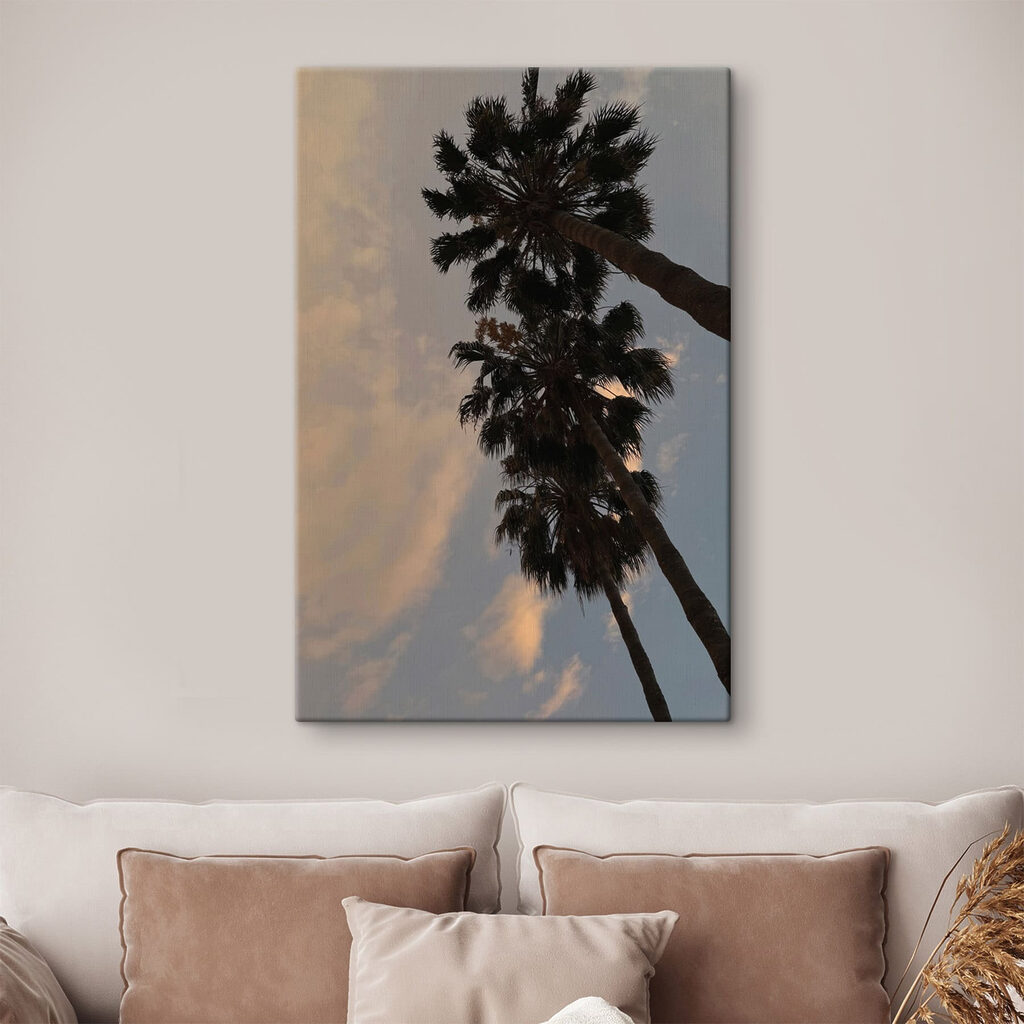 Group of palm trees