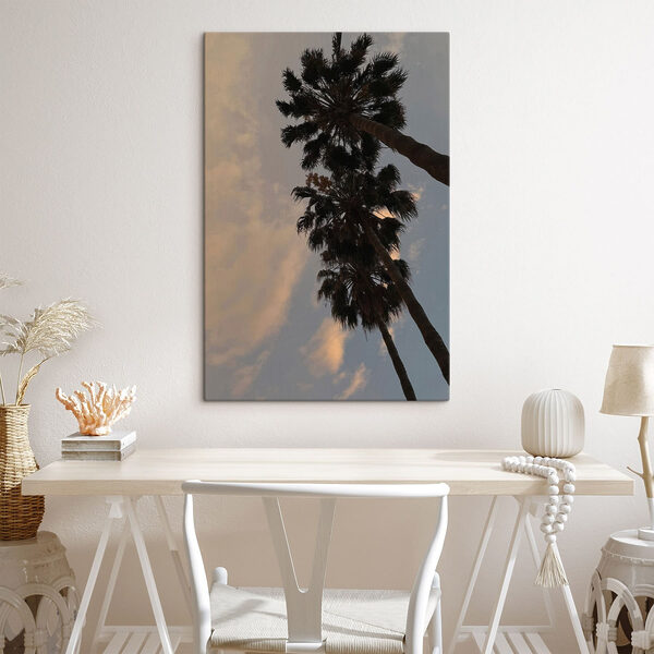 Group of palm trees