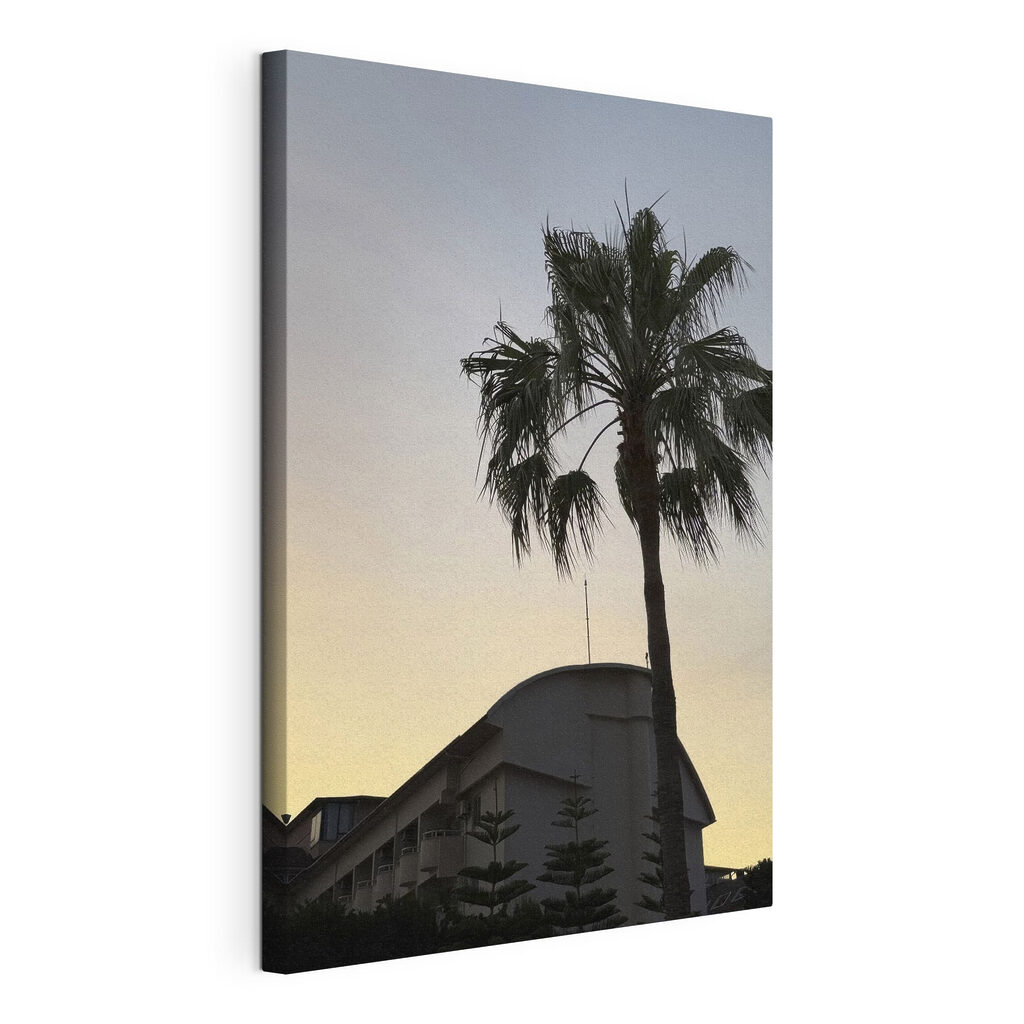 Palm tree in front of a building Palm tree in front of a building