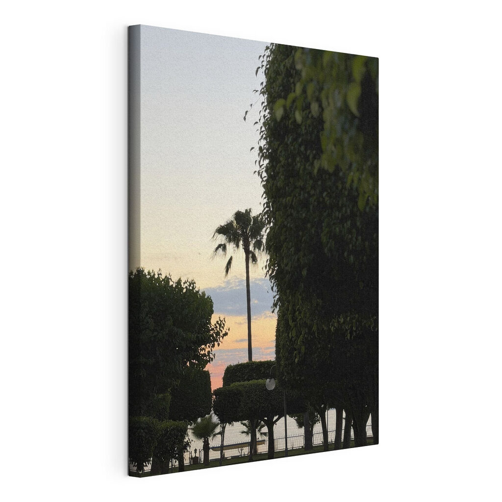 Palm trees and bushes