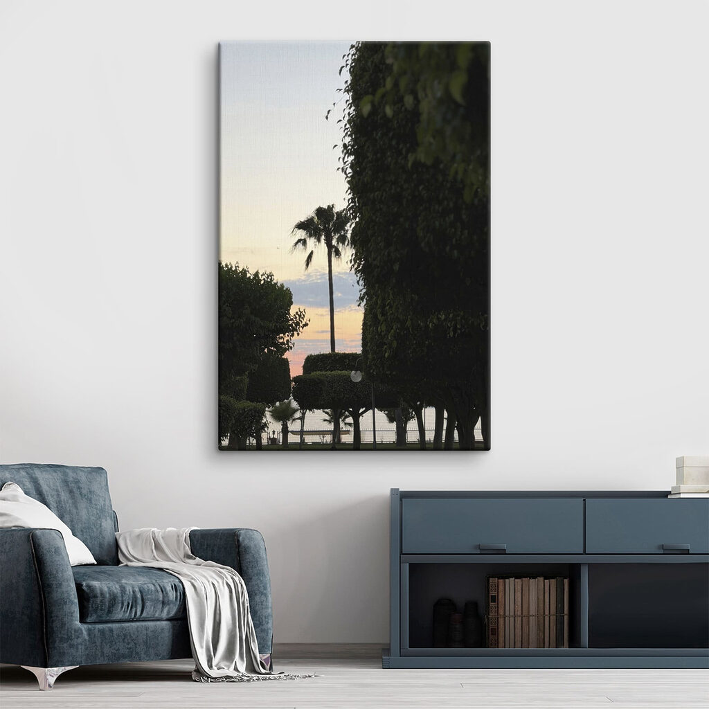 Palm trees and bushes