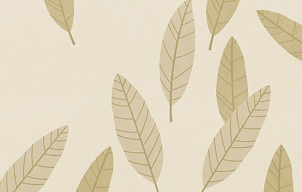 Pattern of leaves on a white background Pattern of leaves on a white background