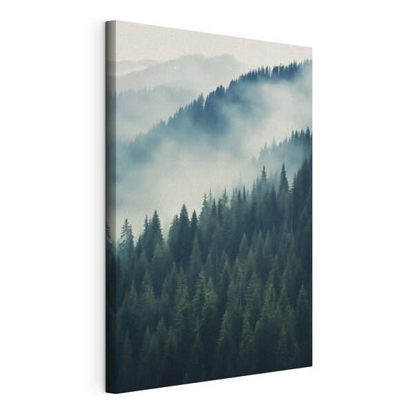 Forest of trees with fog Forest of trees with fog
