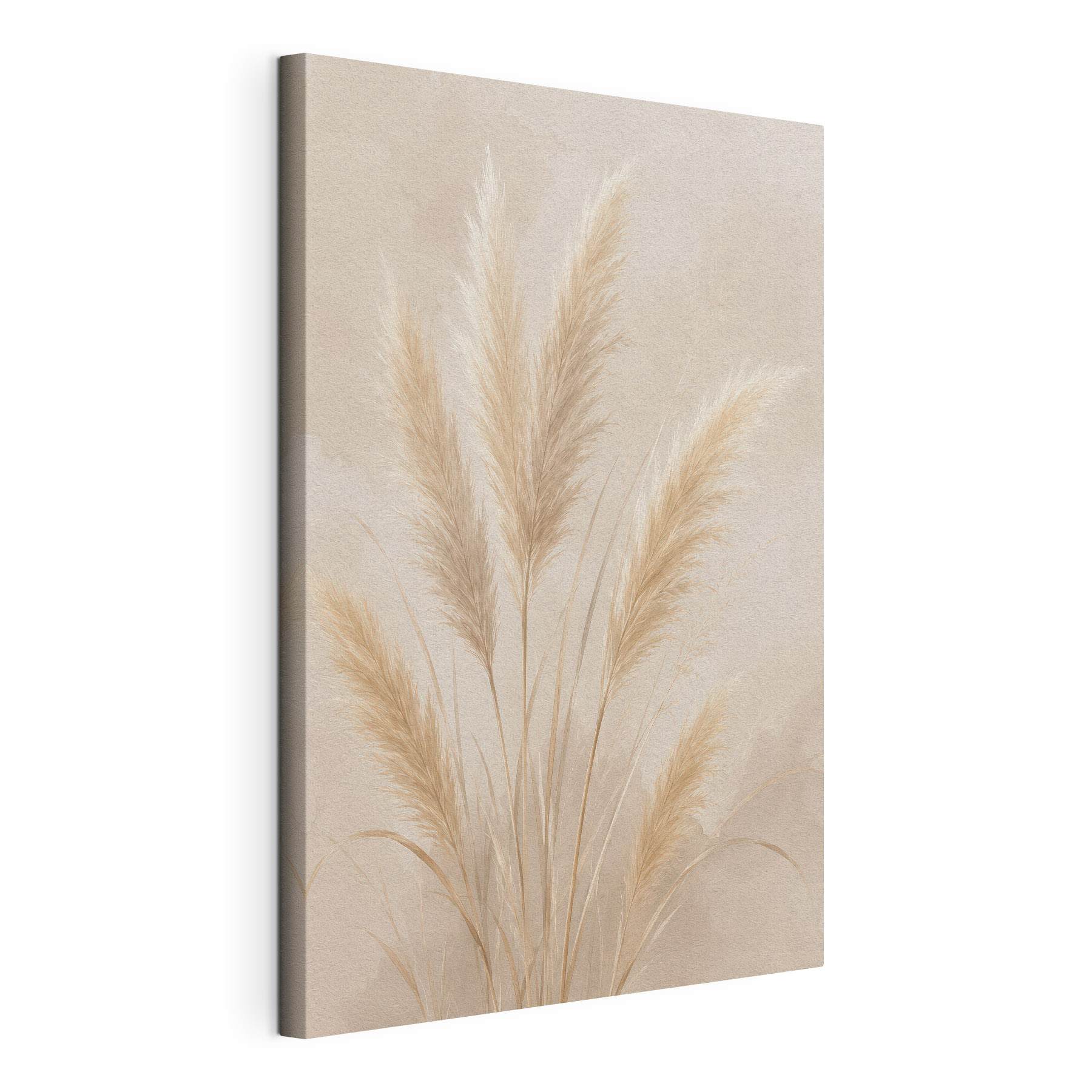 Soft grasses against a light backdrop Soft grasses against a light backdrop