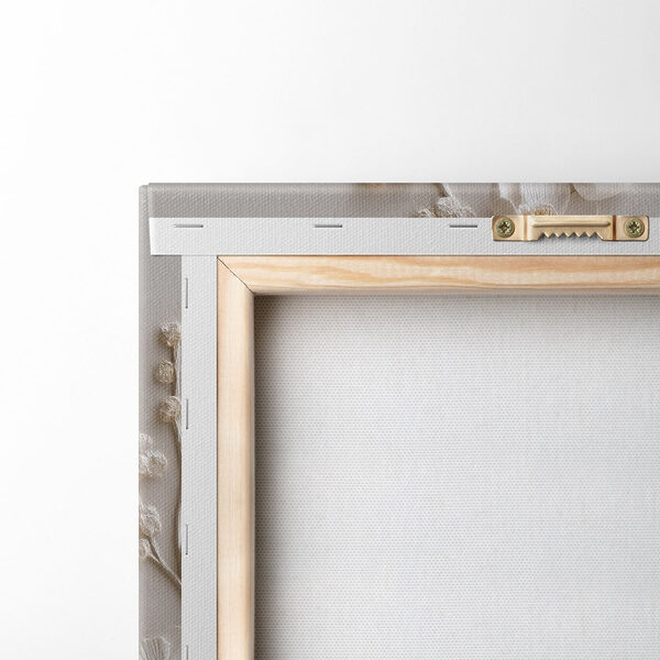 White flowers on a white surface