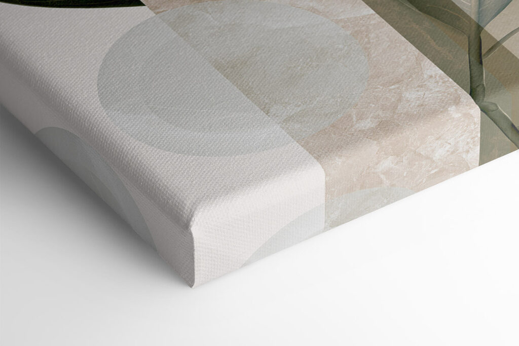 Natural forms in soft colors